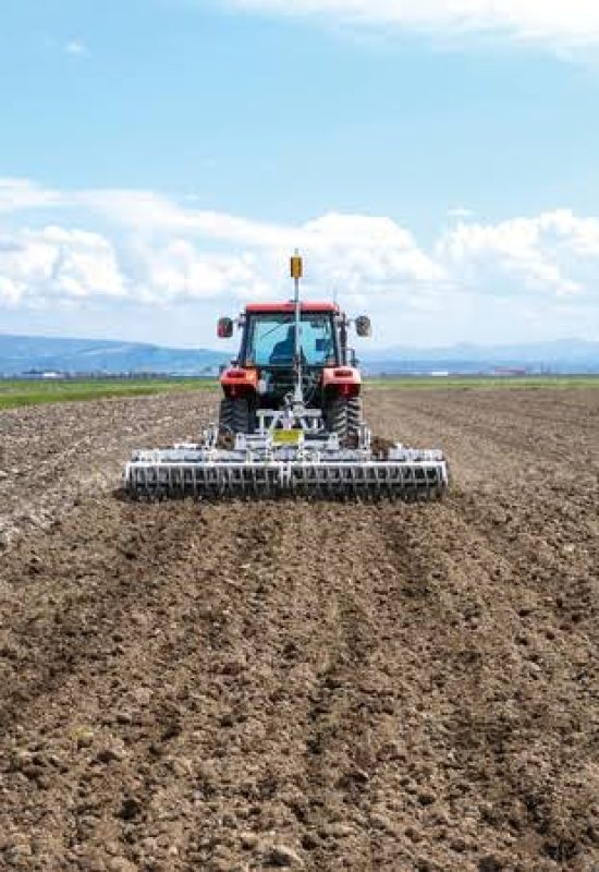 WhatsApp Image 2024-12-27 at 10.46.02